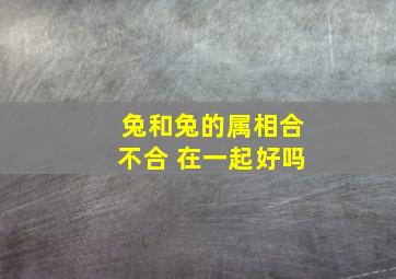 兔和兔的属相合不合 在一起好吗